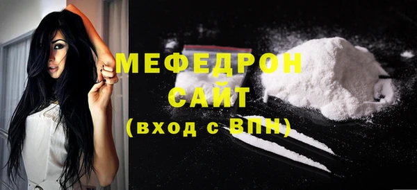 хмурый Ельня