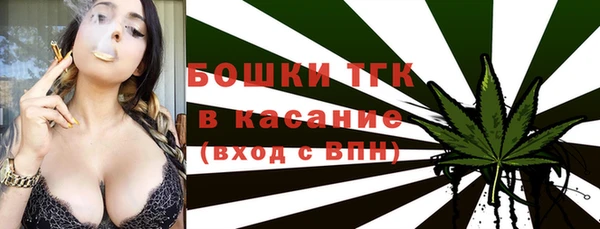 хмурый Ельня