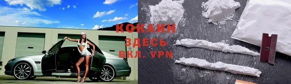 хмурый Ельня