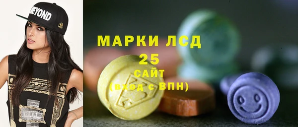 молекула духа Елизово