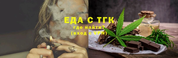 хмурый Ельня
