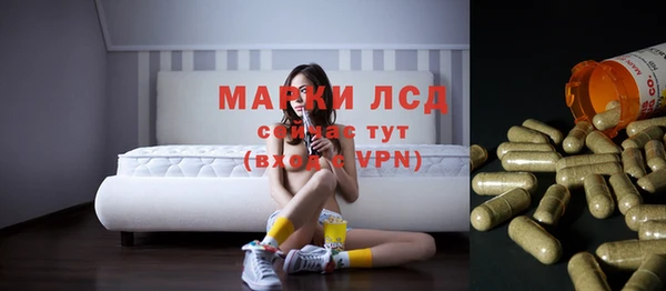 хмурый Ельня