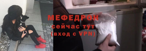 хмурый Ельня