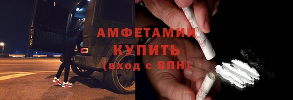 молекула духа Елизово