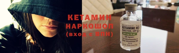 хмурый Ельня