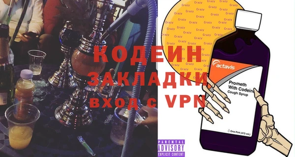 хмурый Ельня