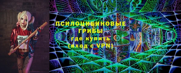 хмурый Ельня