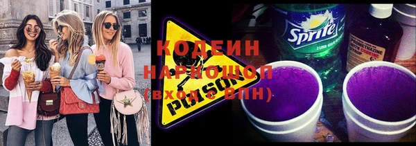 молекула духа Елизово