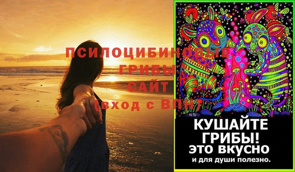 молекула духа Елизово