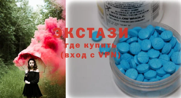 хмурый Ельня
