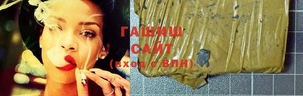 хмурый Ельня