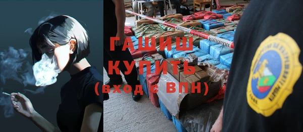 хмурый Ельня