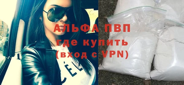 хмурый Ельня