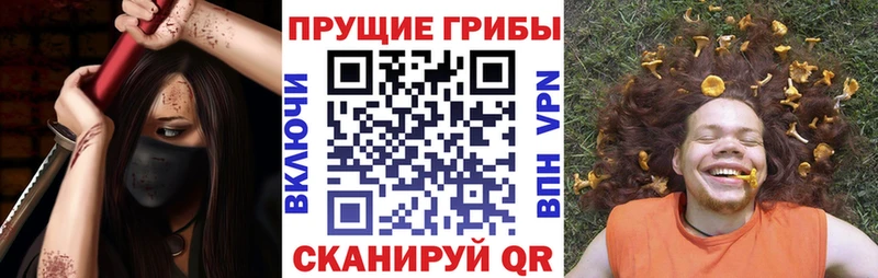 МЕГА зеркало  Нестеров  Псилоцибиновые грибы мицелий 
